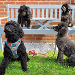 Photo n°3 de l'avis de Marlies.i fait le 20/08/2023 à 16:18 sur le  Remise & Westflügel Schloss Stolpe à Stolpe auf Usedom