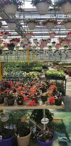 Florist «Dutch & Olgas Greenhouse», reviews and photos, 1285 NJ-36, Hazlet, NJ 07730, USA