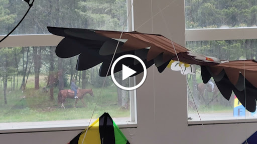 Museum «World Kite Museum & Hall-Fame», reviews and photos, 303 Sid Snyder Dr, Long Beach, WA 98631, USA