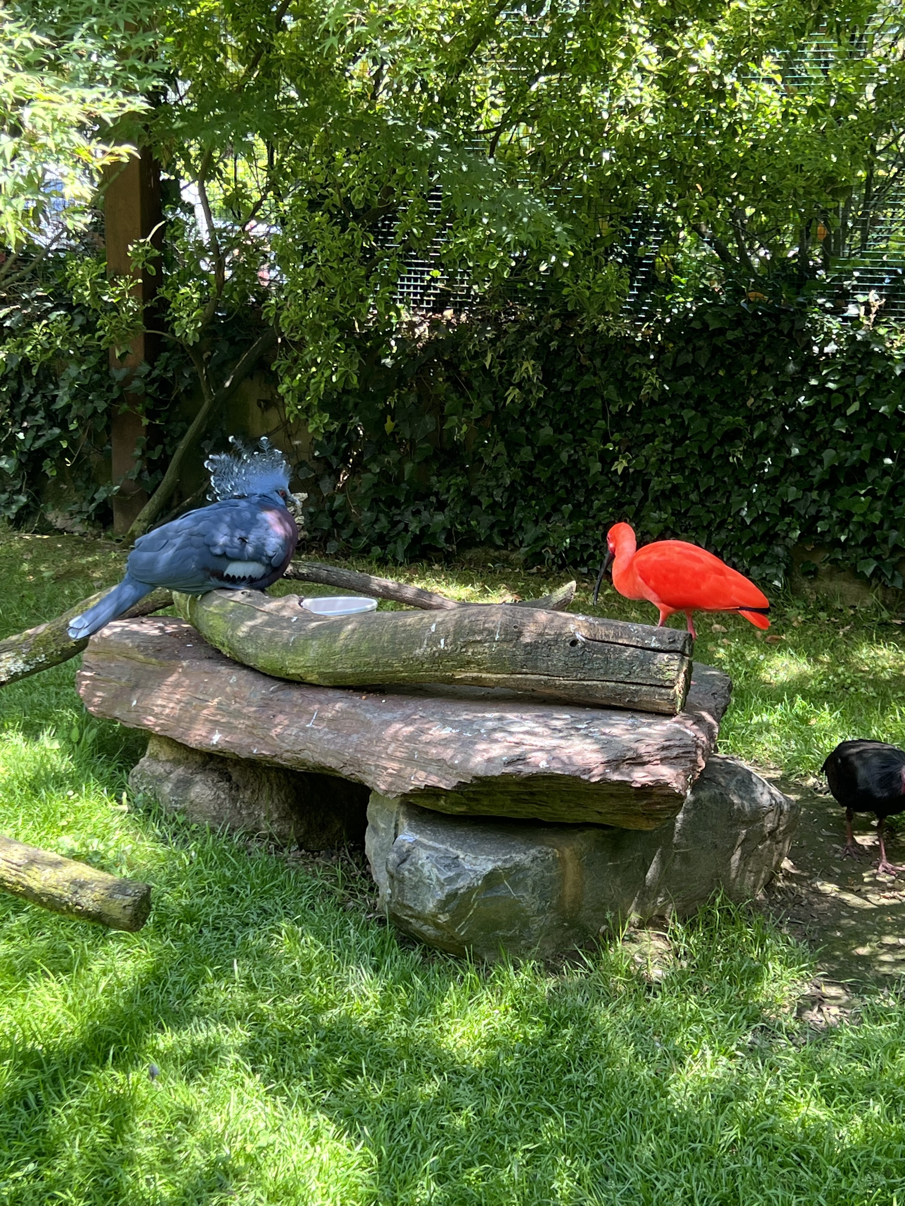 Photo n° 11 de l'avis de Fish.n fait le 11/09/2022 à 15:55