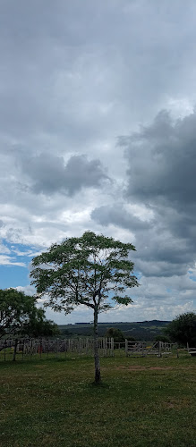 departamento lavalleja - Minas