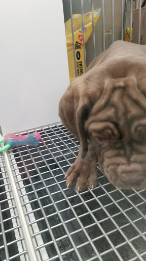 Pet Store «Petland», reviews and photos, 5470 Dixie Hwy, Fairfield, OH 45014, USA