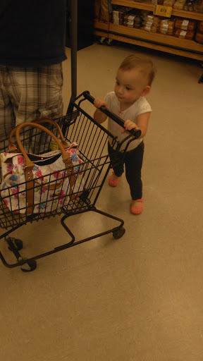 Grocery Store «Food Lion», reviews and photos, 1100 Sabbath Home Rd SW, Holden Beach, NC 28462, USA