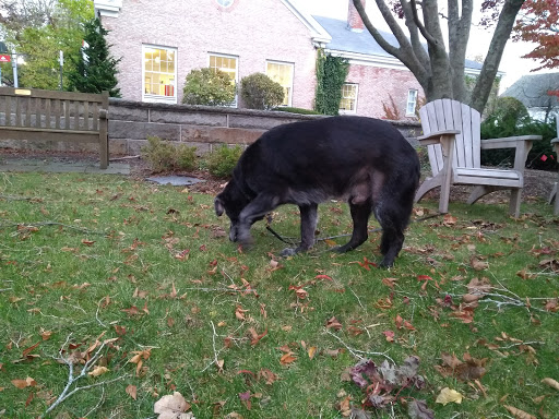 Park «Masconomo Park», reviews and photos, 60 Beach St, Manchester-by-the-Sea, MA 01944, USA