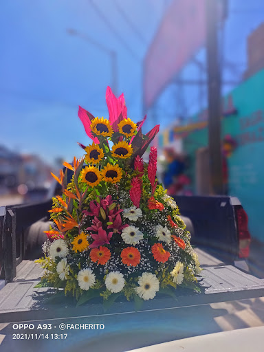 Florerías en Villa Hidalgo, Jalisco: Entrega a Domicilio y Servicio 24 Horas