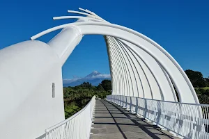 Te Rewa Rewa Bridge image