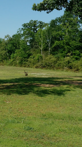 Supermarket «Walmart Neighborhood Market», reviews and photos, 2550 Prince St, Conway, AR 72034, USA