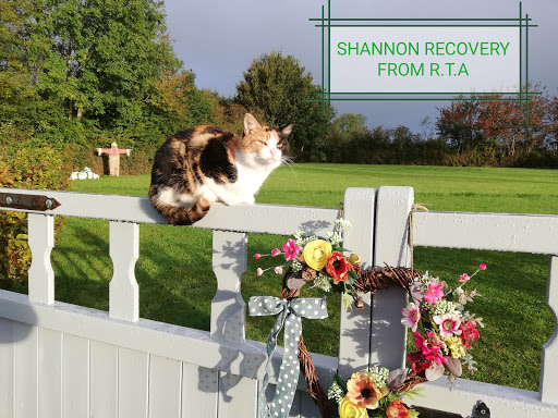 Island Wood Veterinary Hospital