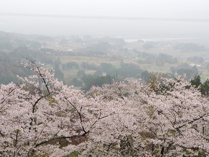 西行桜の森