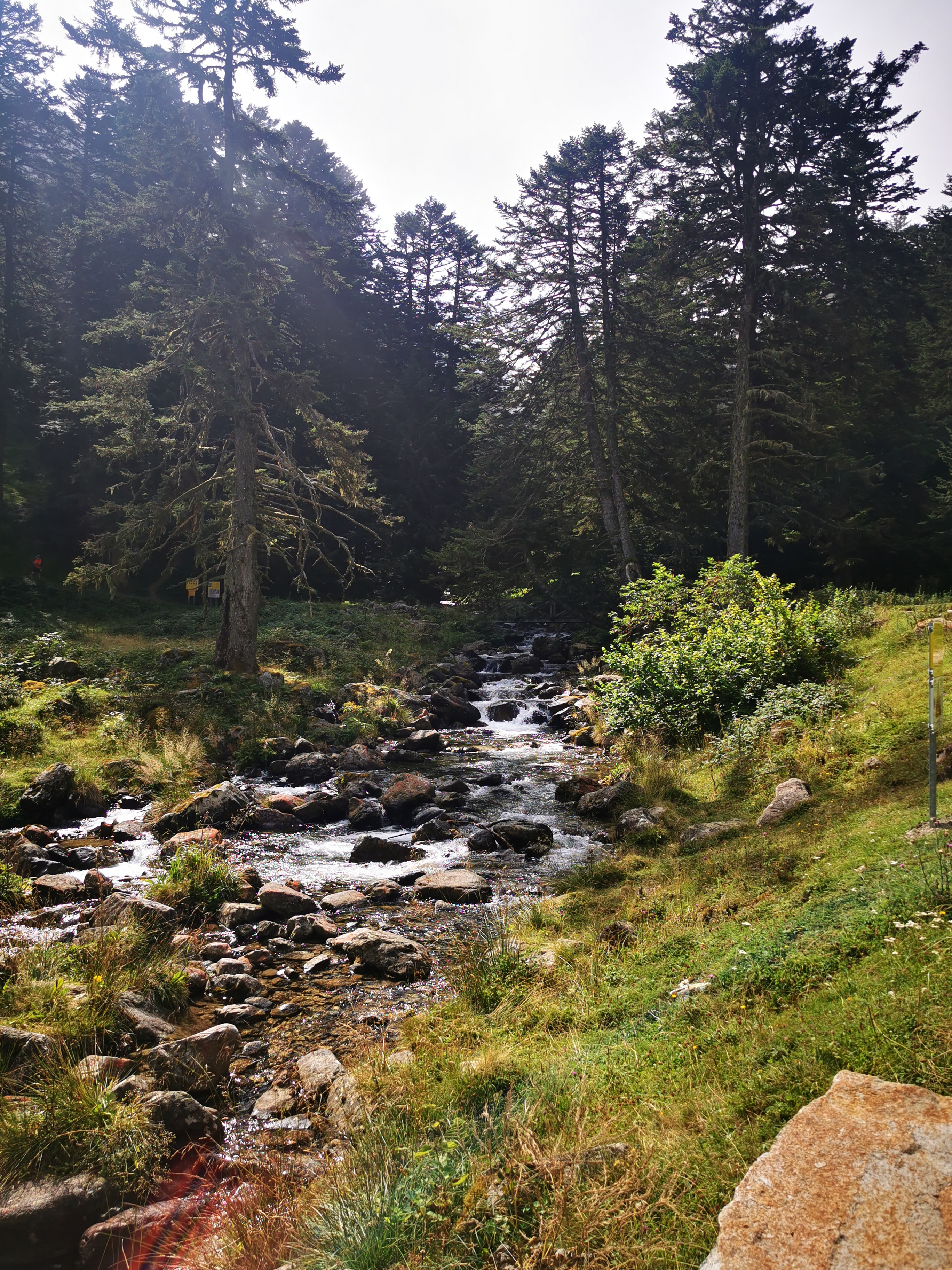 Photo n° 22 de l'avis de Damien.a fait le 15/08/2021 à 14:59