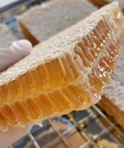 Bán mật ong rừng nguyên chất thái nguyên