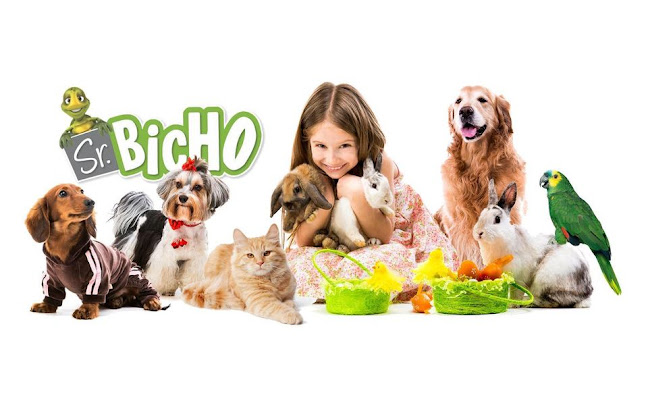 Sr.Bicho - Linda-A-Velha - Oeiras