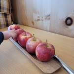 Photo n°2 de l'avis de Gianni.a fait le 01/03/2022 à 07:01 sur le  Hotel Sulfner à Santa Caterina