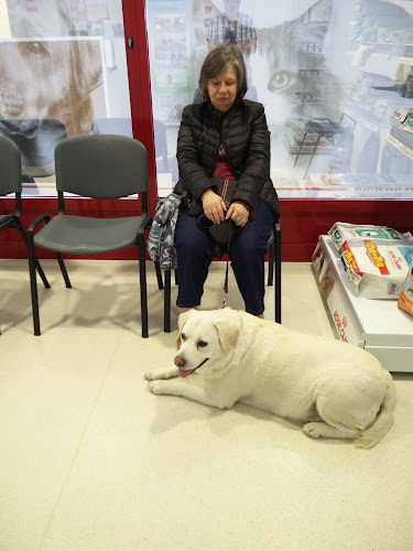 Clínica Veterinária da Póvoa de Santa Iria - Veterinário