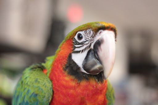 Pet Store «Pet World - Auburndale», reviews and photos, 3637 Havendale Blvd, Auburndale, FL 33823, USA