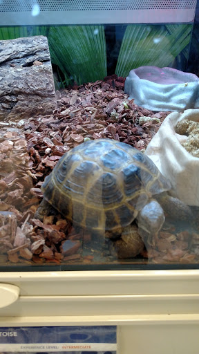 Pet Supply Store «PetSmart», reviews and photos, 475 Bank St, Waterbury, CT 06708, USA