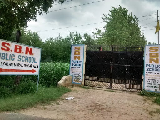 S B N public School