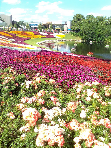 Florist «Bay Hill Florist», reviews and photos, 7784 Sand Lake Rd, Orlando, FL 32836, USA