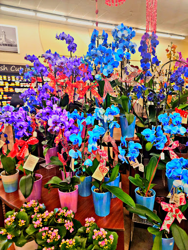 Albertsons image