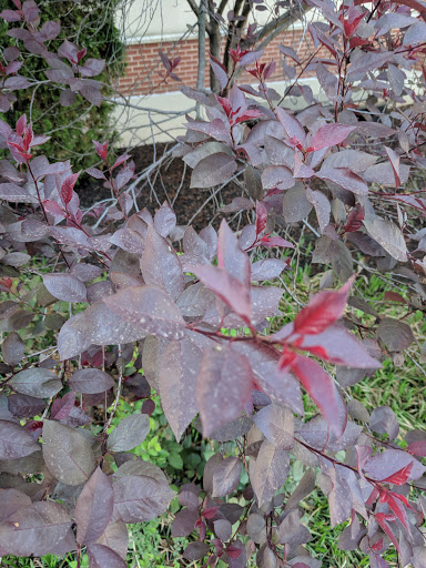 Movie Theater «B&B Theatres Overland Park 16», reviews and photos, 8601 W 135th St, Overland Park, KS 66223, USA