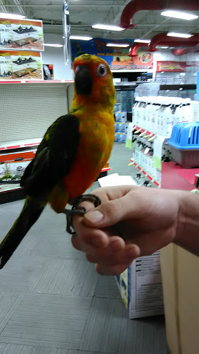 Places to buy birds in Indianapolis