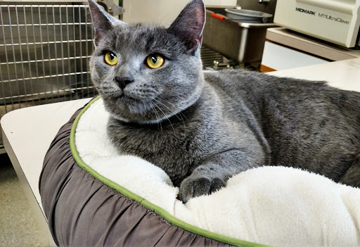 10519 Reading Rd, Cincinnati, OH 45241, USA