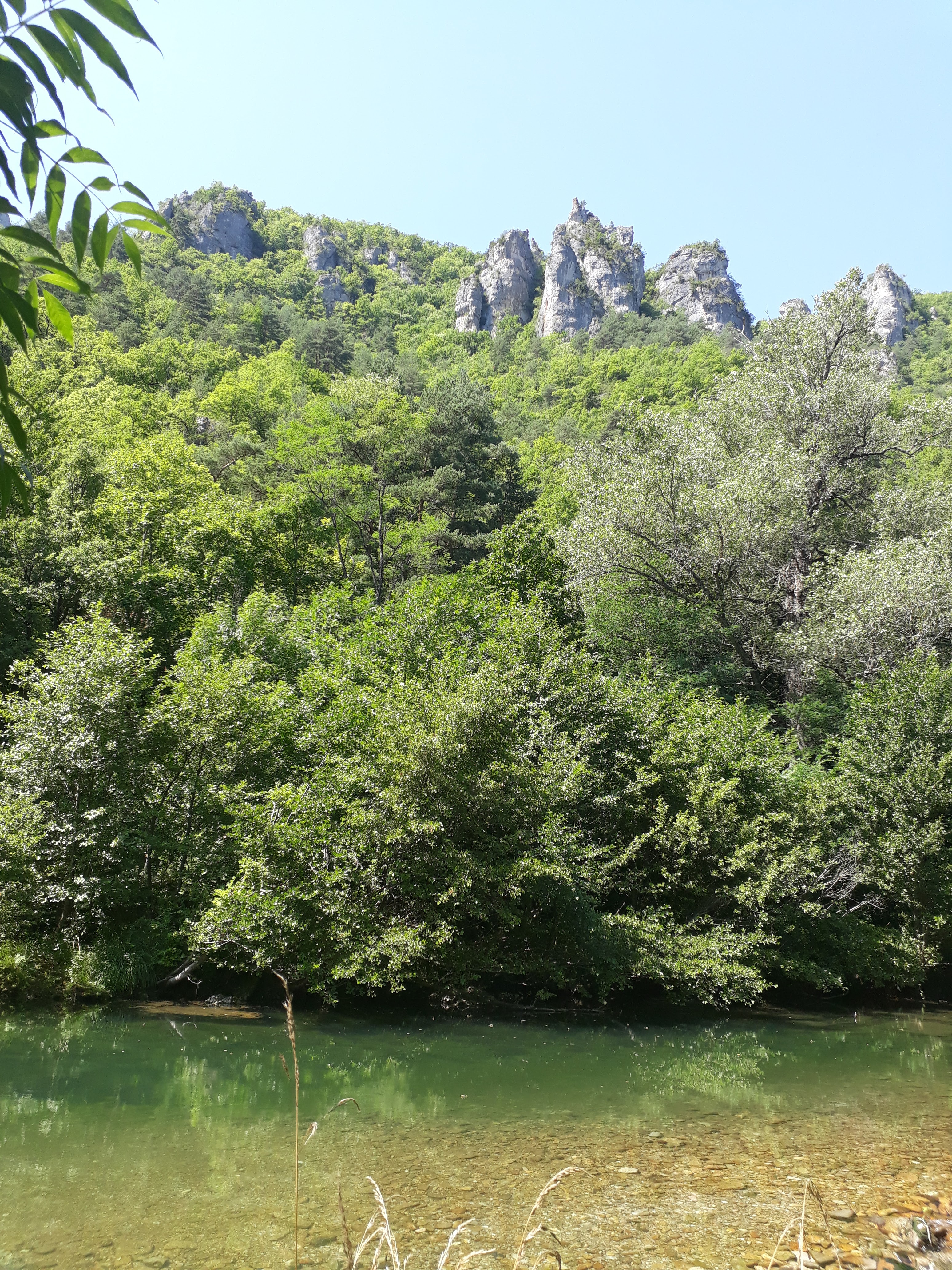 Photo n° 3 de l'avis de Jordan.o fait le 01/08/2019 à 17:23