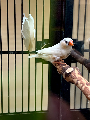 Pet Supply Store «PetSmart», reviews and photos, 1013 W University Ave, Georgetown, TX 78628, USA