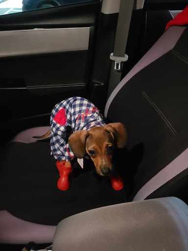 Discount Store «Big Lots», reviews and photos, 467 W Penn Ave, Cleona, PA 17042, USA