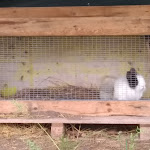 Photo n°11 de l'avis de Fabrizio.a fait le 21/05/2018 à 18:34 sur le  Country Bar Pinseria Gentile à Sutri