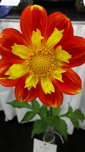 Event Venue «Modern Living Building», reviews and photos, 1301 S Fair Ave, Yakima, WA 98901, USA