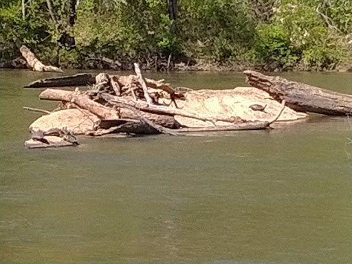 Government Office «Sweetwater Creek State Park», reviews and photos, 1750 Mt Vernon Rd, Lithia Springs, GA 30122, USA