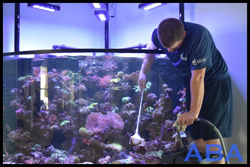 Aquarium «Atlantic Blue Aquariums», reviews and photos, 801 Northlake Blvd, North Palm Beach, FL 33408, USA