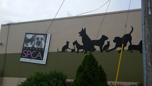 Norfolk SPCA Adoption Center