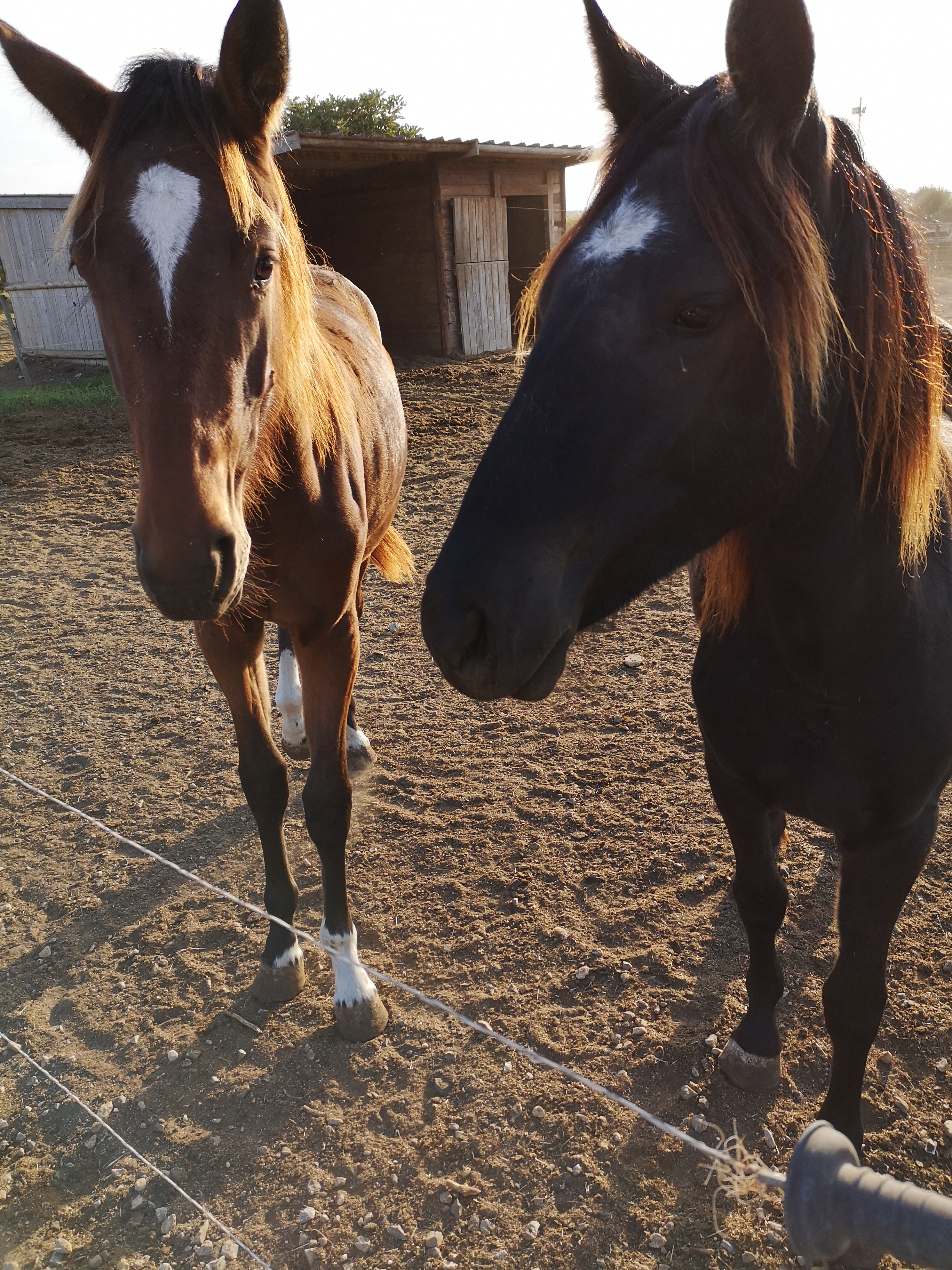 Photo n° 18 de l'avis de Emmanuel.e fait le 18/11/2018 à 11:03