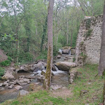 Photo n° 10 de l'avis de Romuald. fait le 21/05/2023 à 14:21 pour Site de Donzy à Salt-en-Donzy