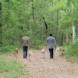 Dungannon Plantation Heritage Preserve/Wildlife Management Area