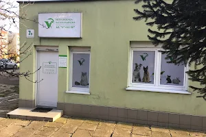 Bieńko Krzysztof, lek. Vet. Veterinary clinic image