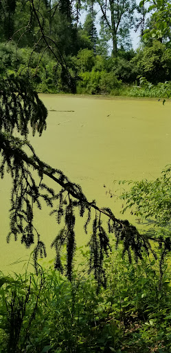 Nature Preserve «Sutherland Nature Sanctuary», reviews and photos, 3998 Diehl Rd, Metamora, MI 48455, USA