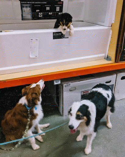 Home Improvement Store «The Home Depot», reviews and photos, 5950 State Bridge Rd, Duluth, GA 30097, USA