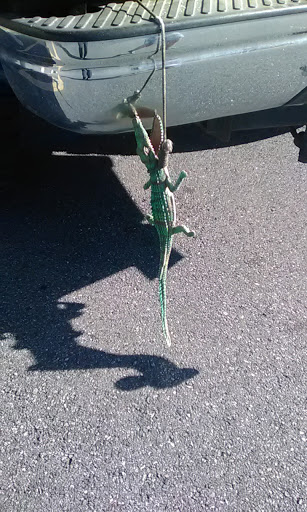 Grocery Store «Winn-Dixie», reviews and photos, 1060 Lakes Blvd, Lake Park, GA 31636, USA