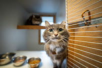 Pet Palace - Pittsburgh - Photo 4 - Car repair in Pittsburgh, PA, Pittsburgh