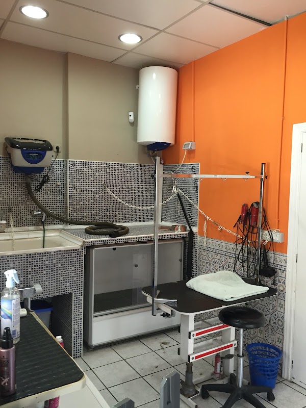 Clinica Veterinaria Paguera and Grooming Parlour