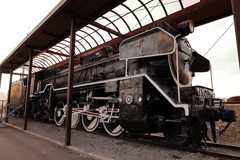 蒸気機関車 D51 824号機（SL）