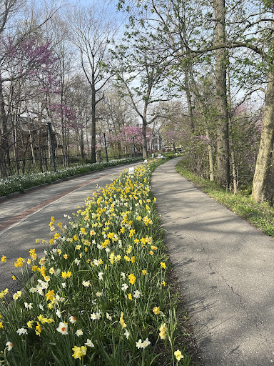 Orchard «The Orchard Shop», reviews and photos, 311 W St Joseph St, Muncie, IN 47303, USA