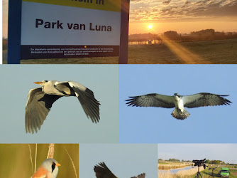 Vogeltrek Telpost park van Luna