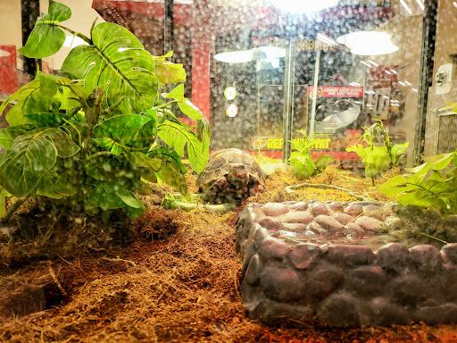 Pet Supply Store «Petco Animal Supplies», reviews and photos, 1500 N Town E Blvd, Mesquite, TX 75150, USA