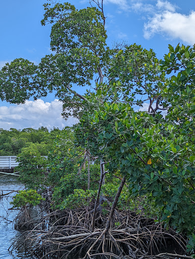 Nature Preserve «Anne Kolb Nature Center», reviews and photos, 751 Sheridan St, Hollywood, FL 33019, USA