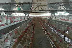 Bhopal Poultry Farm Thuna image