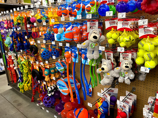 Pet Supply Store «Unleashed by Petco», reviews and photos, 81 7th Ave, Brooklyn, NY 11217, USA